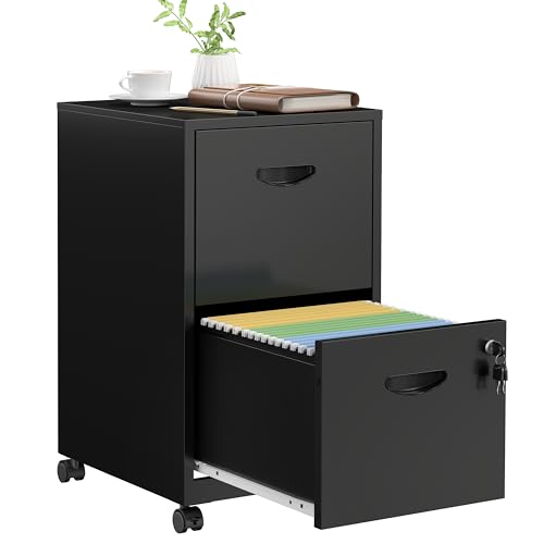 Black 2-Drawer Mobile Filing Cabinet with Lock