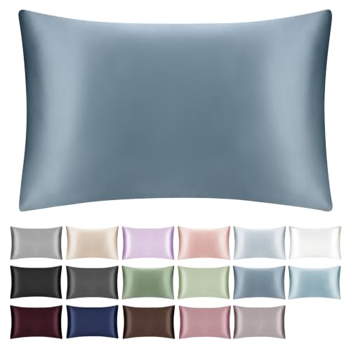 SILKTALE 100% Mulberry Silk Toddler/Travel Pillowcase,Both Sides 19MM Small Silk Pillow Case with Hidden Zipper for Kids/Baby 1pc, Ash Blue,13"x18"