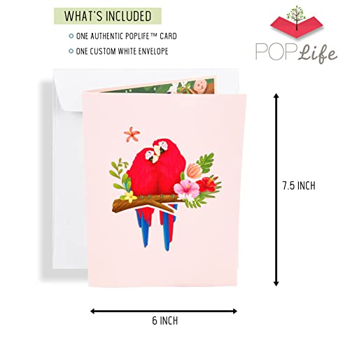Poplife Parrot Love Birds 3D Pop Up Card For All Occasions - Valentine's Day, Anniversary, Mother's Day, Birthday Greeting Card, Christmas - Wedding, Love, Just Because, Thank You - For Wife, Mom, Step-Mom, Grandma, For Husband, Dad, Grandpa #TOP3