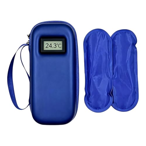 Nevera de viaje con bolsa de almacenamiento impermeable y pantalla de temperatura | Bolsa de almacenamiento pequeña para almacenamiento con 2 bloques refrigerantes, para viajes, acampada, viaje, playa