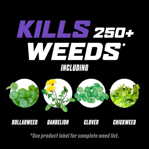 Imagen de producto 7