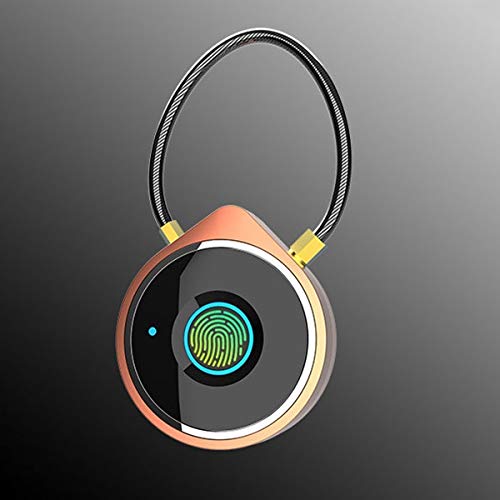 Verrou d'empreinte digitale USB anti-vol intelligent pour sac de voyage