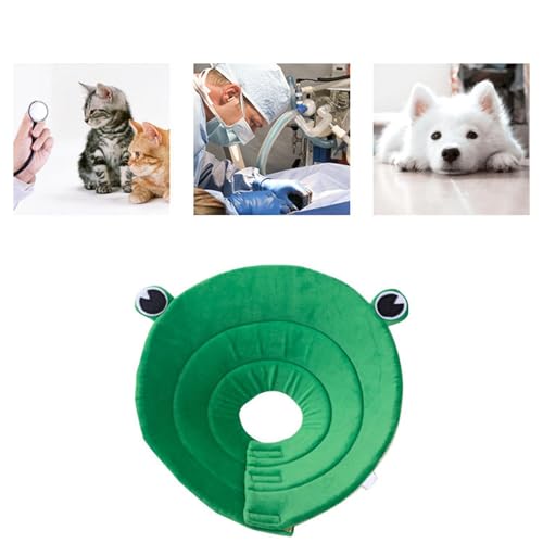 Evite Lamber Mordidas, Coleira Leve de Recuperação de Gato de Algodão de Desenho Animado para Pós-ci
