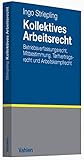 Kollektives Arbeitsrecht: Betriebsverfassungsrecht, Mitbestimmung, Tarifvertragsrecht und Arbeitskampfrecht