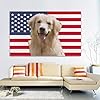 Custom Pink American Flag 3x5 Ft, Personalized Funny Flags Design Your Image Logo Photo Text Customized Flag Tapestry for Bedroom Room Dorm Concerts Outdoor Garden Decor #2
