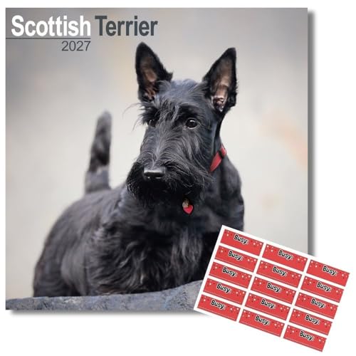 Avonside Scottish Terrier 2027 Kalendarz z Naklejkami Organizacyjnymi, 16-Miesięczny Kwadratowy Kalendarz Ścienny (wrz 2026 - gru 2027), Planer dla Miłośników Psów, 29,5 x 29,5 cm