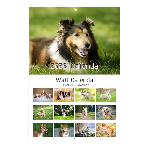 2026 LJ_[ | NGCeBuł킢vi[ - zf[J_[vi[ | z[ XN[ e[u fXN ׋ v Ƒ  E FB