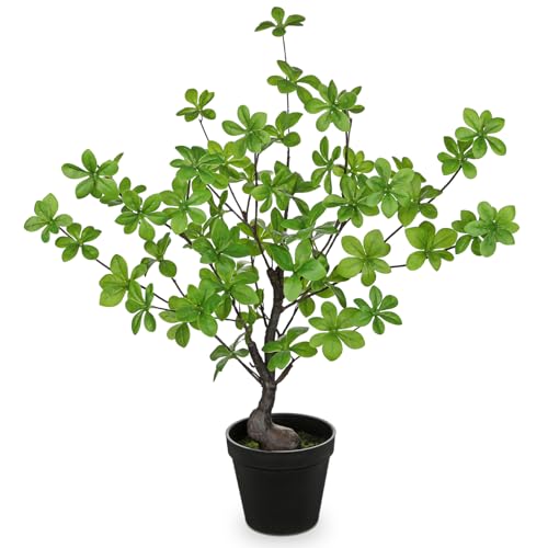 Villa Como tFCNO[ A lHϗtA 55CM hE_ccW CeAO[  ₷ sv Q쏜sv  ƒ ItBX 