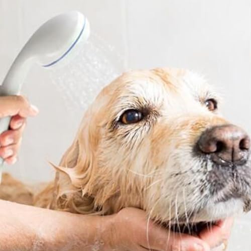 Pompe de douche d'extérieur électrique rechargeable pour le lavage en voyage - 3