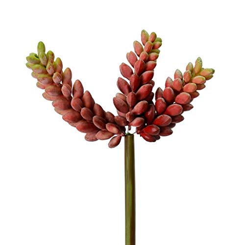 Vickerman Red Jelly Bean Pick image