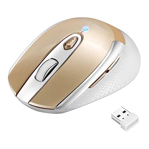 LeadsaiL Leise Kabellose Maus 2,4 GHz 1600 DPI Optical Tracking Cover