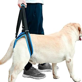 ROZKITCH Pet Dog Support Harness Rear Lifting Harness Veterinarian Approved for Old K9