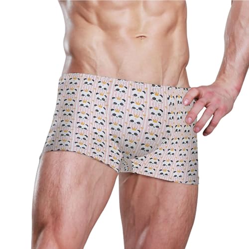 Cute Panda Mens Swim Trunk Swimwear Bathing Suit Swim Brief Square Leg Board Short S B04041923
