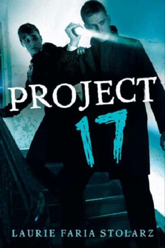 Project 17 view 2