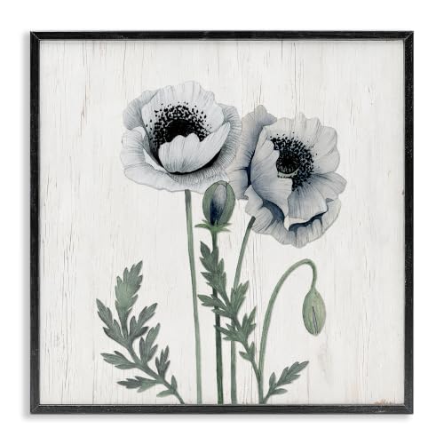 Blooming Poppy Rustic Panel Pattern, 24 x 24 Inch Framed Giclée Print