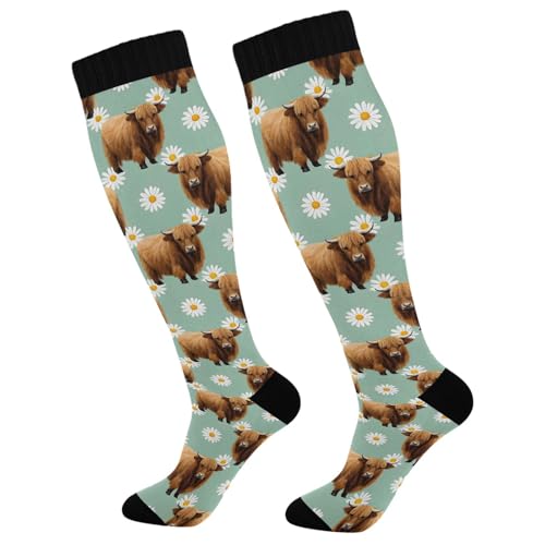 Bunny Easter Candy Daisy Women's Compression Socks for Women Men Knee High Socks Long Circulation