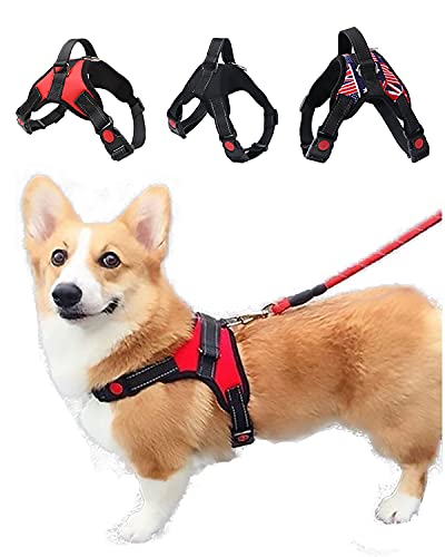 犬 胴輪 おしゃれの人気商品 通販 価格比較 価格 Com 犬 胴輪 おしゃれの人気商品 通販 価格比較 価格 Com