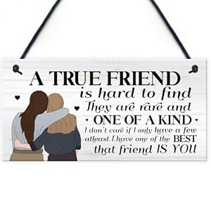 Signs Plaques TRUE FRIEND Friendship Gift For Best Friend Gift For Her House Decor