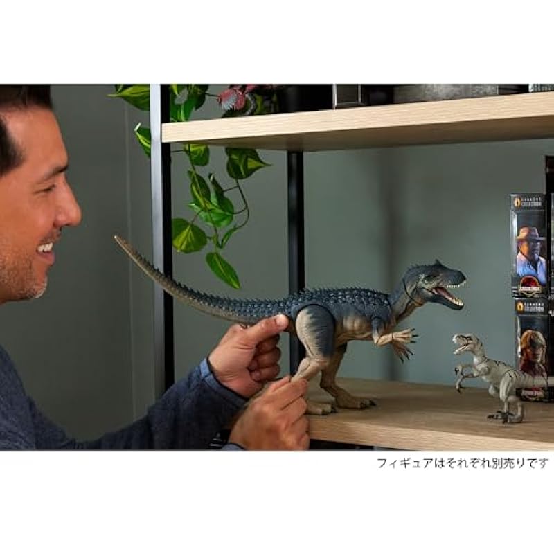Mattel Jurassic World Hammond Collection Allosaurus 피겨 공룡 장난감이 큰 총 길이 : 약. 8 세의 회색 JCG13에서 52.7cm 상세이미지 2