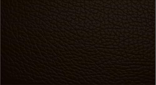 Leather Furniture Restorer Repair Paint in Colours, for sofa, car seats, shoes, hand bag restoring colour (Blunt Oak, 250ml Bottle)