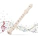 8 Hole Soprano Recorder Detachable Design, Exquisite Craftsmanship, Comfortable Playability for Beginners, ABS Material Green (White)