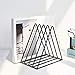 QPEY Triangle File Holder,5 Slot Metal Vinyl Record Stand Holder Magazine Newspaper Holder Photography Props for Office Home 1 Pc (black)