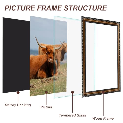 Image of Black 12x18 Frame Wood Vintage 12 x 18 Frames Gold | Real Glass, Easy Photo Changes, Wall Hanging, Ornate Wall Art