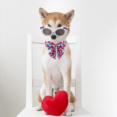 Collier pour chien de Saint-Valentin avec nœud papillon chic DOGWONG - 5