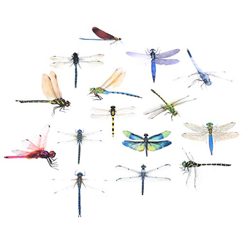CHZIMADE Etiqueta engomada transparente de la libélula del tema del insecto Cover