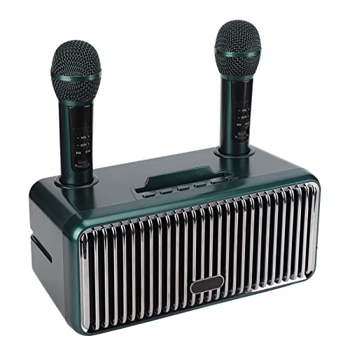 MáQuina De Karaokê, Alto-Falante PortáTil Bluetooth Ao Ar Livre Com 2 Microfones Sem Fio, Uma Chave
