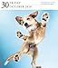 Dog Page-A-Day Gallery Calendar 2020