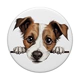 Zoom IMG-2 cane di razza cucciolo jack