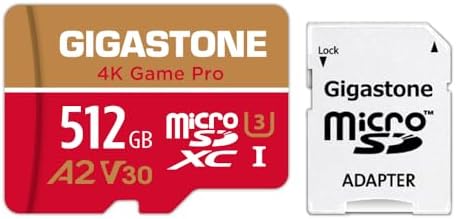 Sd 256gb 5 Anni Recupero Dati Gratuito] Gigastone Scheda Di Memoria 128