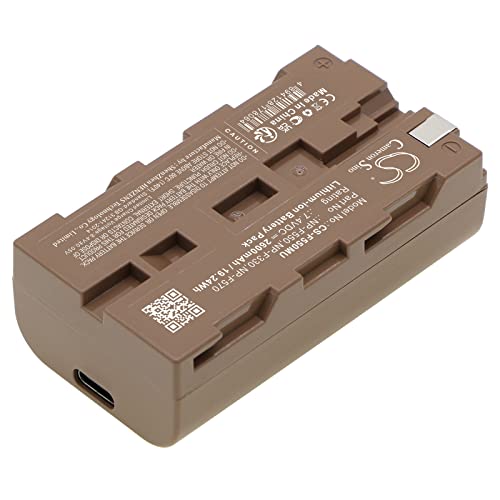 Ejjinenbby Replacement Battery Compatible for NV-DS1EG VW-VBD1E DS-100 NV-DE1 (2600mAh/7.4V), Battery