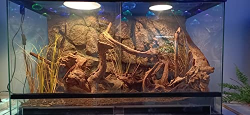 WOLEDOE Fake Desert Dry Grass, Reptile Plants for Terrarium, Bearded Dragon Tank Accessories Habitat Decor fit Crested Gecko Leopard Lizard Chameleon Ball Python Snake