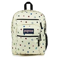 JanSport Laptop Backpack-Computer Bag with 2 Compartments