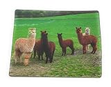 vicugna pacos alpaca Onwomania, Marchio registrato German