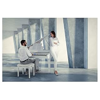 Classic Cantabile GP-A 810 Piano à Queue Numérique – 88 touches pondérées à marteaux – Clavier électronique avec USB… - Les Beatles, Paul McCartney, John Lennon, RIngo Starr, George Harrison Classic Cantabile GP-A 810 Piano à Queue Numérique - 88 touches pondérées à marteaux - Clavier électronique avec USB… – Image 2