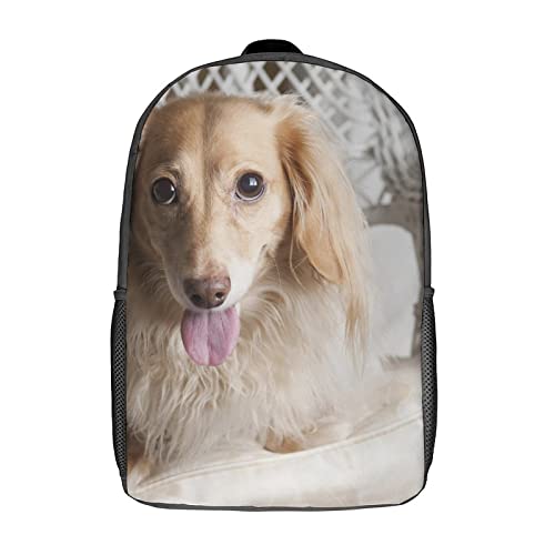 Sac d'école adolescent imprimé 3D motif chien de 17 pouces mixte