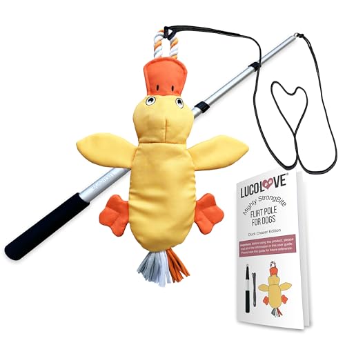 LUCOLOVE Flirt Pole for Dogs Heavy Duty 35 Inch Teaser Wand with Duck Toy