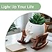 Smiley Face Planter Pot, Cute Coffee Plant Pots for Indoor Outdoor,Unique Rocking Chair Plant Pot for Succulents Plants Live with Drainage Hole,Gift IdeaI for Mother and Appreciation Christmas (Small)