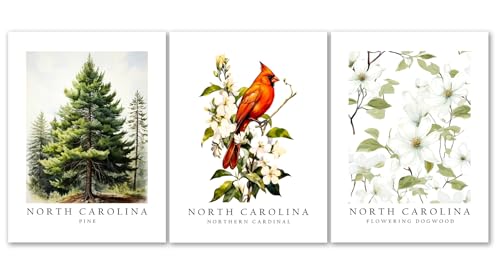 North Carolina Symbols, Northern Cardinal Bird, Flowering Dogwood Flower, Pine Tree, 8 x 10 Inches, Set of 3 State Posters, Wall Art Décor