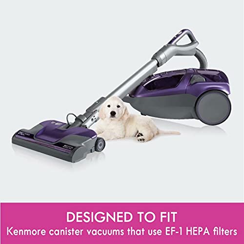 Kenmore 53295 Hepa Replacement Vacuum Cleaner For Canister Vacuum Cleanner 81615,81614 #TOP1