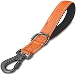 Poignée réfléchissante en nylon rembourrée, plomb lourd et fort de circulation avec pince à carabines, parfait pour les chiens grands ou moyens (Orange, 12 De pouce)