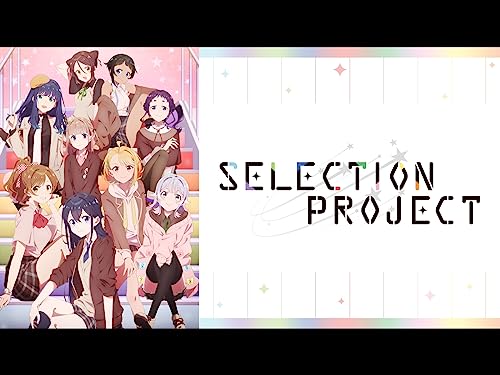 SELECTION PROJECT