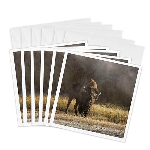 Cartes de vœux bison brume geyser Yellowstone 15x15cm