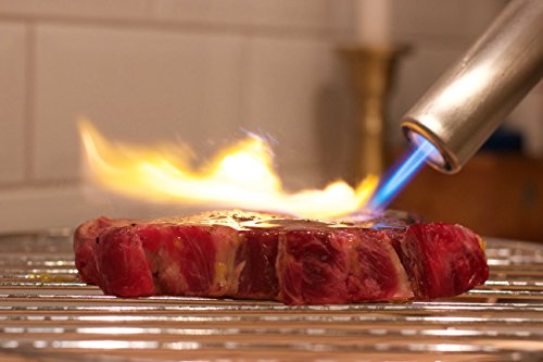 Bison Airlighter 420 (White), Cordless Fire Starter, Charcoal Lighter, Grill Starter, Campfire Starter, Butane Powered With Built-In Air Blower #TOP3