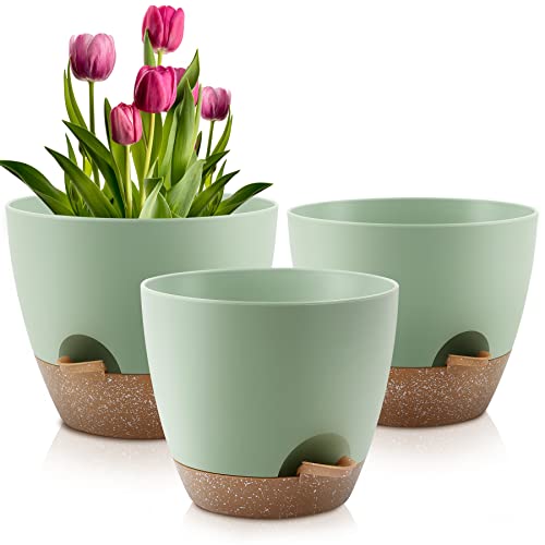 QRRICA Plant Pots 10/9/8 Inch Self Watering Pots, Set of 3 Plastic Planters with Drainage Holes and Saucers,Plastic Flower Pots,Nursery Planting Pot for Indoor Out Door Plants（Green）