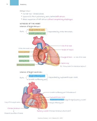 Image of Marrow Rapid Revision edition 8,ALL 19 SUBJECTS SET,FULL COLOR PRINTED NOTES WITH SPIRAL BOUND,2025=2026