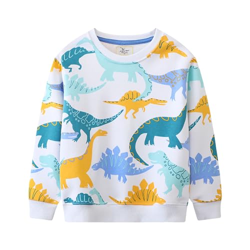 Boys Sweatshirts Casual Sweatshirts Cotton Sweatshirts Long Sleeve T-shirts Crew Neck Cartoon Tops for Boys-57